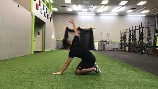 Quadruped Reach-Through and Open-Up
