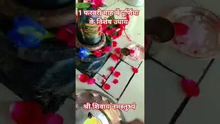 1 फरवरी माह में पूर्णिमा के विशेष उपाय #pradeepmishraji #shivmhapuranupay