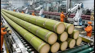 How It's Made - How They Harvest Sugarcane for Sugar -  Inside a Cane Sugar Factory (Full Process)