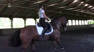 Alhambra Lxxiv Sarah Sharpe Laura Graves Clinic Part 3