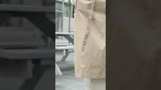 cute dog doing smart and good deeds #shorts #youtubeshorts #trending