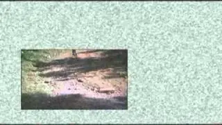 Marrek TV Opening