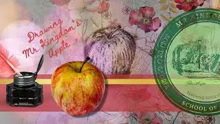 Drawing Mr Kingdom's Apple