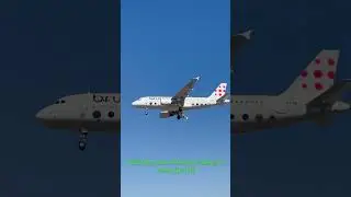 Brussels Airlines A319 landing in Porto (LPPR)