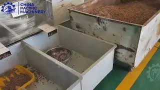 Pine Nut Kernel Shell Separating Machine|Pine Nut Cracker|How to shelling Pine Nuts