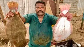 KASIMEDU SELVAM VS HALIBUT HARD SKIN REMOVAL🔪KF FISH CUTS