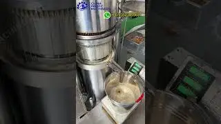 Sesame Oil Extraction Machine|Hydraulic Sesame Oil Expeller Machine|Sesame Oil Press Machine