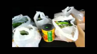 Country View Bulk Food market Michigan shopping Snover
