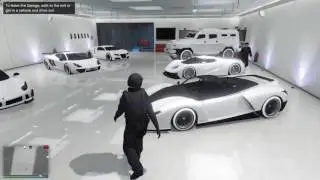 Rare NPC encounter in GTAV garage