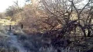 Horseshoes & Hand Grenades