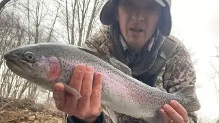 Streamer fishing for BIG trout in PA - DHALO stream