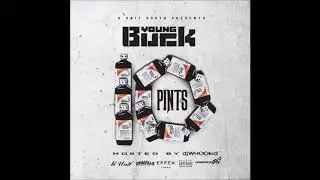 Discografia Young Buck