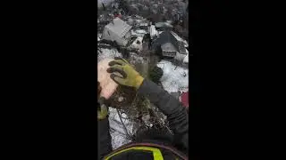 Co se stalo při rizikovém kácení douglasky?