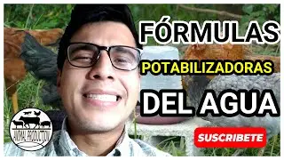 Este es el TRATAMIENTO 100% efectivo para POTABILIZAR el Agua de Bebida en sus AVES