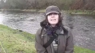 River Annan Grayling Day