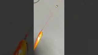 Easy Soft Lure Rig &ndash; Simple Setup for Perfect Action 🎣🔥