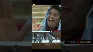 AP Ministers And MLA's Satirical Comments on YCP 11 MLA's | YS Jagan  #ysjagan #ysrcp