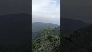 looks lovely #viralvideos #video #viral #shorts #nature #forest #mountains