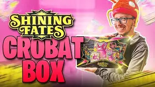 Shiny Hunting Crobat VMAX Pokemon Special Collection Box