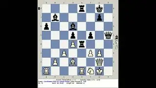Anand, Viswanathan vs Kamsky, Gata | Candidates Chess FIDE SF1 1994, Sanghi Nagar India R3