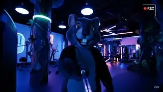Rat vlog #7 - Massive Zootopia tree house tour!