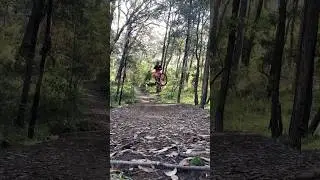 Muck around at the local. Huck the World keeping us steezy as always.