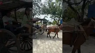 Vigan City,Ilocos Sur!🫶 #alyonabaquial #cute #travel #fyp #fypp #shorts #short #shortsfeed #video