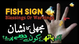 Fish Sign in Palmistry 🐠 | Fish Sign On Palm | Hatheli Par Machli Ka Nishan | Palm Fish | Palmistry