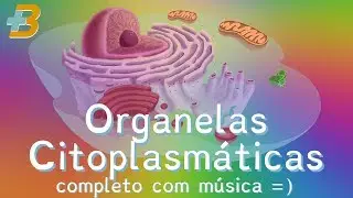 Organelas Citoplasmáticas COMPLETO (org. celulares em Mais Biologia com Roger Maia)