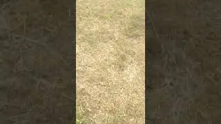 realme c20 drop test 😈😈😈😈💀💀💀☠️☠️☠️☠️
