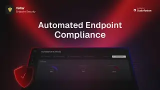 Automated Endpoint Compliance | Veltar