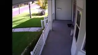 Mowing My Lawn 2016 10 10