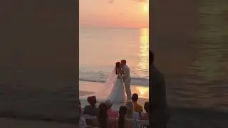 SHARK Crashes Beach Wedding Kiss!