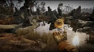 S.T.A.L.K.E.R. 2: SHELTER. WHIRLWIND ARTIFACT