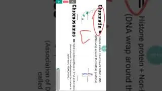 Welcome to 60 secs.concept in #difference between #chromatin #chromosome and #chromatids. #neet2023