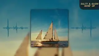 Salty & GASHI - Goin Up (Visualizer)