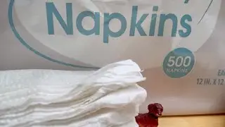 Unboxin Doxin - Great Value Napkins 500 Count