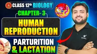 Parturition and Lactation | Class 12 Biology Chapter 3 | Human Reproduction | Bihar Board 2026