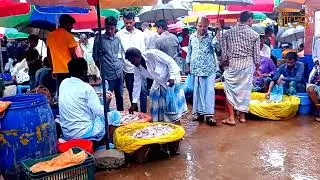 কলঘর সামুদ্রিক মাছ বাজার।kolghor fish market।রামু-কক্সবাজার। Ramu Cox’s Bazar। Boroi holiday Vlog-14