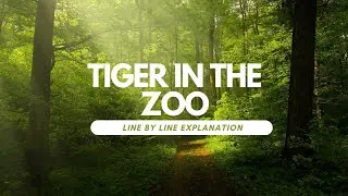 A tiger in the zoo poem|| Class 10 ||First Flight book||Line by line explanation||Poetic devices
