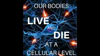 Discover Redox Technology and the Asea Company