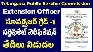 👌 TGPSC Extension Officer supervisor Grade -l Certificate Verification Shedule Released l List Out