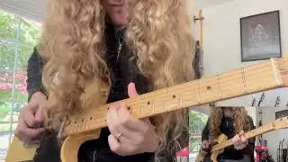 Steely Dan - Reelin&rsquo; in the Years (main Elliott Randall guitar solo cover)