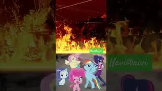 funny animal dance #ytshortsindia #pets catlover 🐈🐈&zwj;⬛🐾🐱🐱🐾🐾🐈&zwj;⬛🐈🐈🐈&zwj;⬛🐈&zwj;⬛🐱🐱video viral