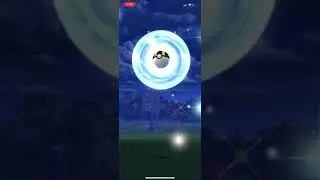Shiny Spoink CAUGHT In Pokemon Go!