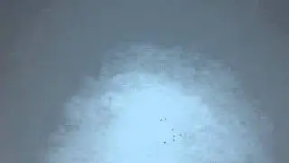MOV01550