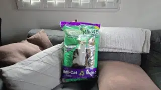 Worlds Best Non Tracking Kitty Litter Review Fresh News