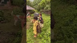 A Solung trip to Padu village 2 #solungfestival #shortsindia #villagevlog