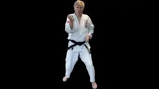 #7 Bite Size Basics: 15 Karate Lessions Every Beginner Must Know!