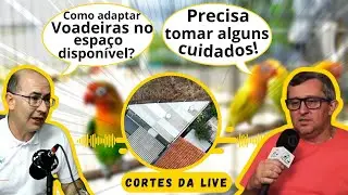 COMO FAZER COM VOADEIRAS GRANDES EM ESPAÇO PEQUENO?